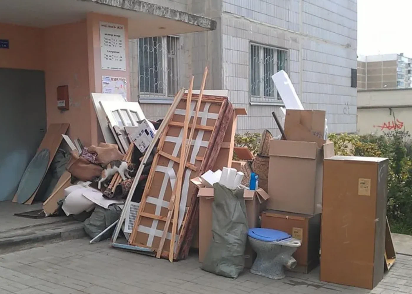 Профессиональный вывоз мусора из квартиры в Череповце в октябре