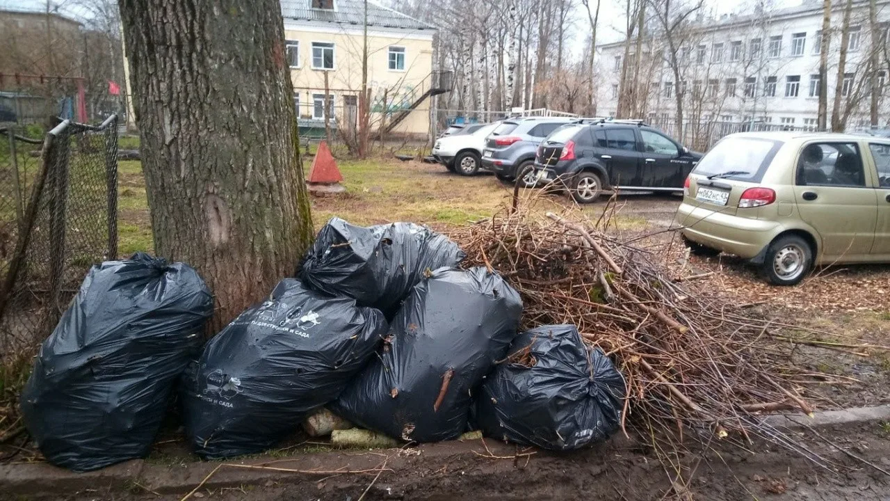 Вывоз мусора после субботника в Череповце от ПроМусор – уборка и утилизация отходов от 2402 руб