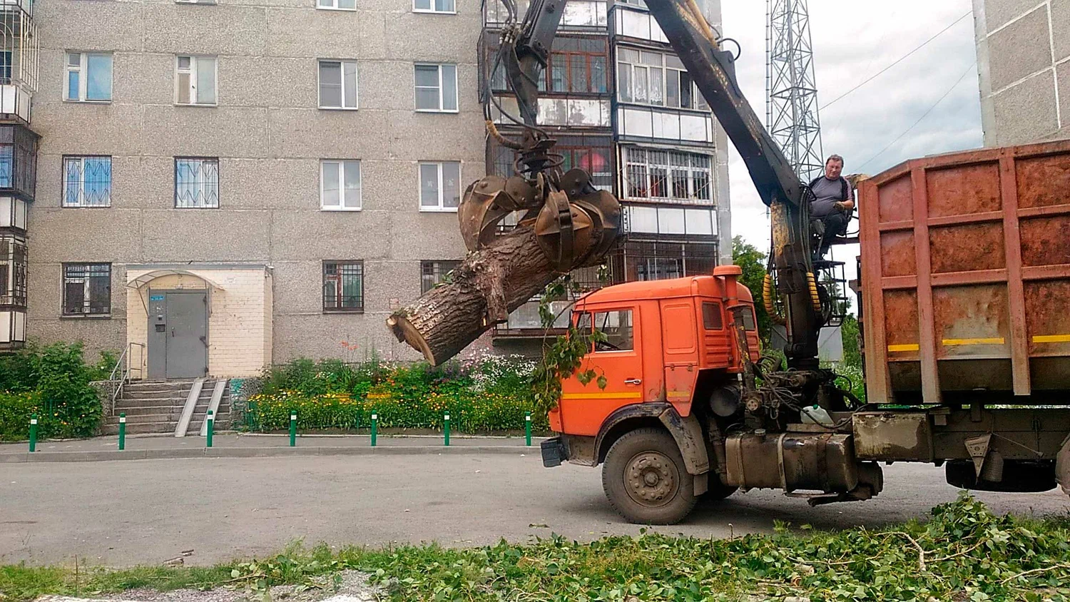 Вывоз спиленных веток и деревьев в Череповце от ПроМусор: порубочные остатки, утилизация, цена от 2964 руб