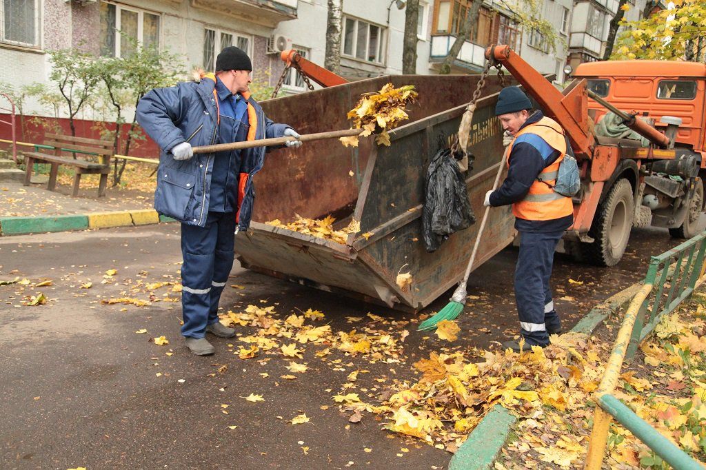 Вывоз опавшей листвы и растительного мусора в Череповце от ПроМусор – цена от 4599 руб., быстрая уборка и утилизация